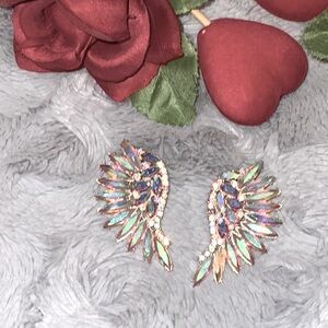 6/$20 Iridescent Wing Earrings